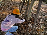 IMG_0059