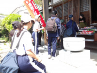 IMGP0913
