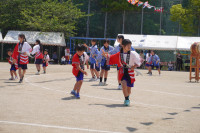 DSC02900