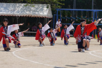 DSC02910