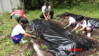 s-IMGP2384