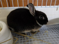 IMGP0512