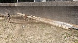 IMGP0069