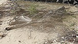 IMGP0070