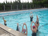 IMGP0041
