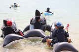 IMG_0559