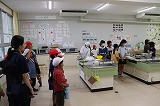 IMG_0897