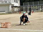 20250514_003013940_iOS