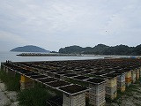 s-IMG_2906