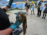 s-IMG_2285