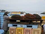 s-IMG_2286