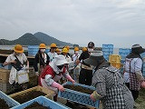 s-IMG_2295
