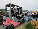 s-IMG_2290