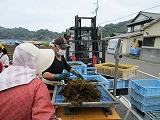 s-IMG_2320