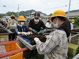 s-IMG_2349