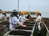 s-IMG_2358