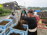 s-IMG_2941