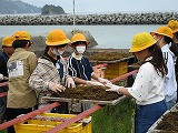 s-IMG_2945