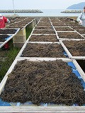 s-IMG_2962