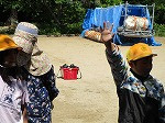 IMG_9533