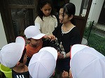 IMG_9590