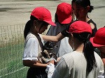 IMG_9724