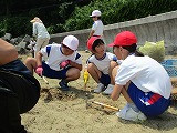④