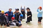 IMG_4427