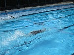 IMG_0229