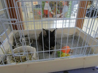 s-IMG_3133