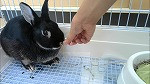 4年1組_国語科_中崎　史朗_写真から読み取る_1