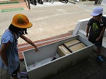 IMG_0787
