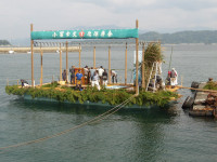 IMGP0198