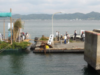 IMGP0199