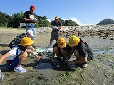 IMG_2387