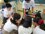 IMG_1271