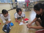 IMG_1287