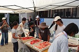 IMG_1510