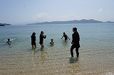 DSC04230