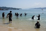 DSC04243