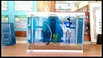 s-3・4年生_図画工作科_山本　すずか_2026年9月9日のノート_4